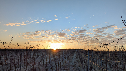 2026 Herrschaftsacker 500